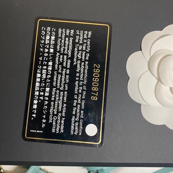 Chanel Vanity Case Tiffany color caviar bag - Picture 14 of 16